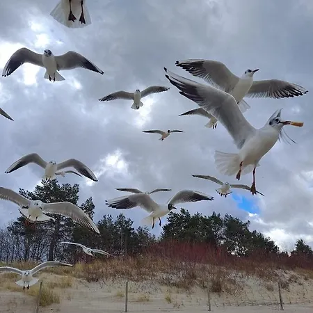 Prestige & Sea Playa Baltis 63 مينززدرويه